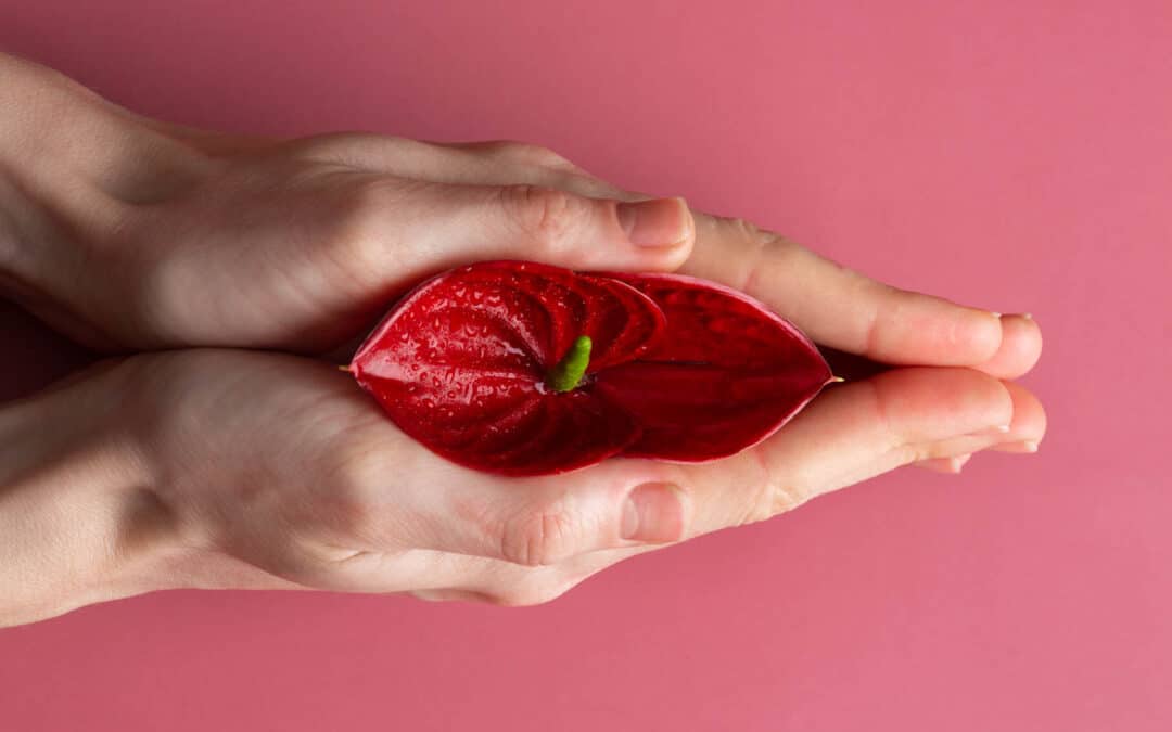 Perineal Rehabilitation: How to Choose the Right Vaginal Rehabilitation Probe?