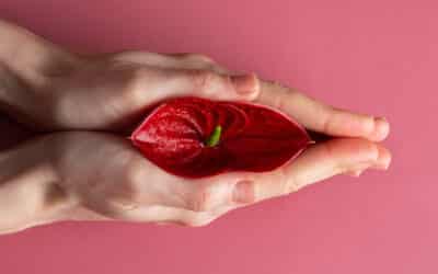 Rééducation du périnée : Comment bien choisir sa sonde de rééducation vaginale ?