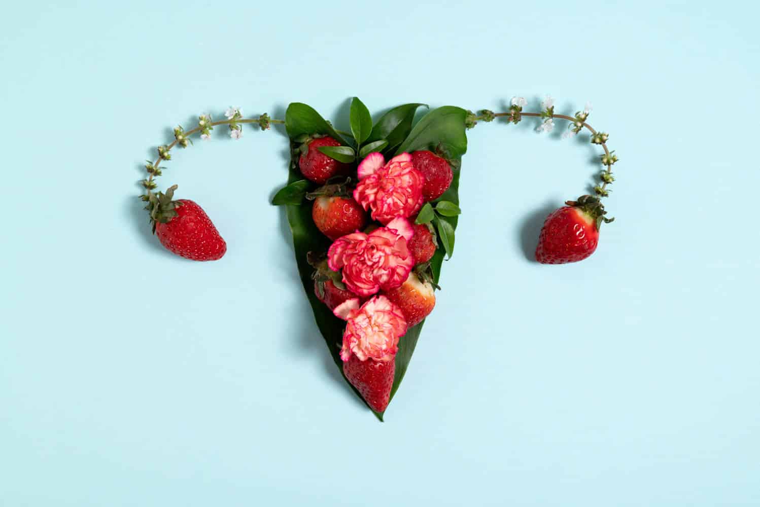 flat-lay-reproductive-system-with-strawberries