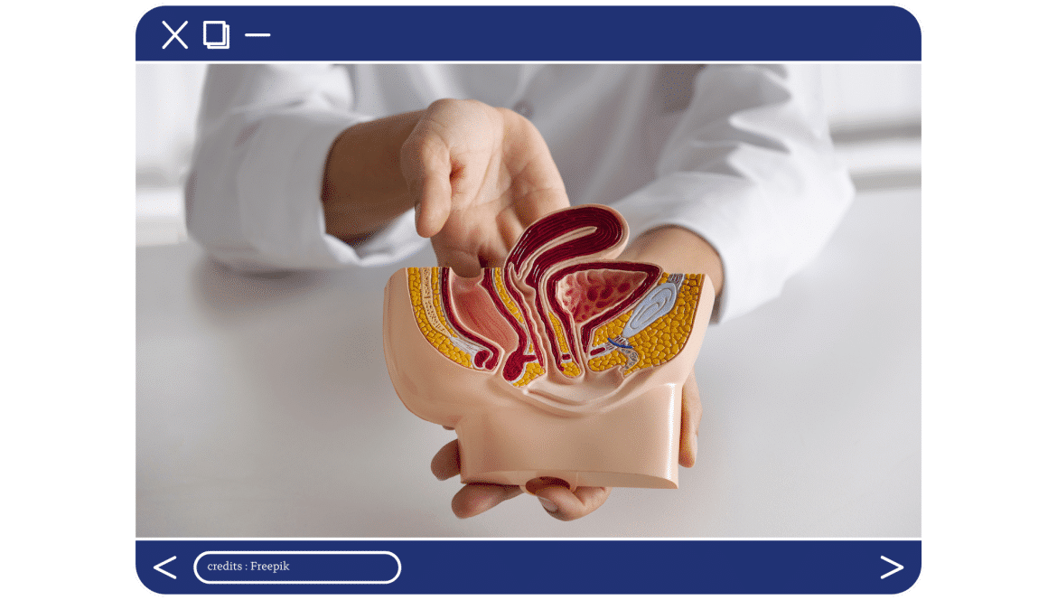 lg-b-apprendre et comprendre la prostate, le cancer de la prostate et la prostatectomie