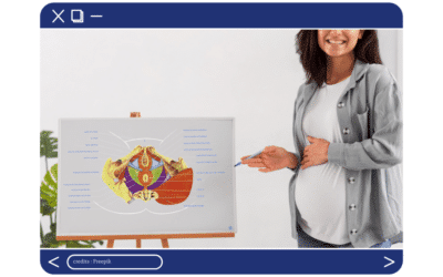 Le plancher pelvien chez la femme