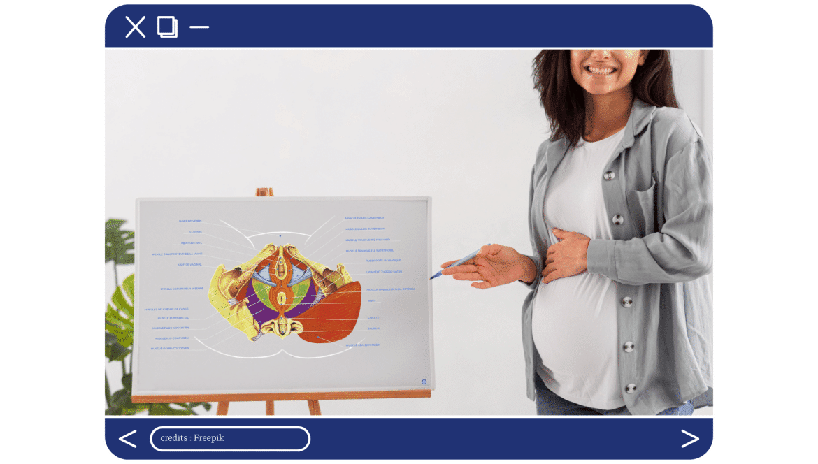 lg-b-le plancher pelvien chez la femme