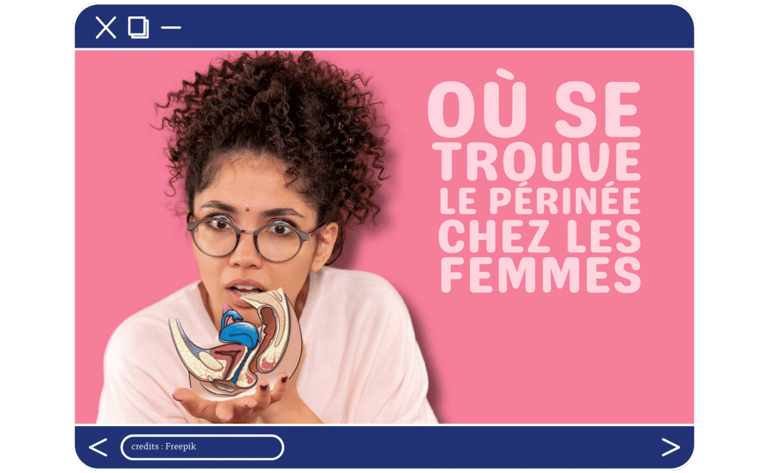 Où se trouve le périnée chez les femmes ?