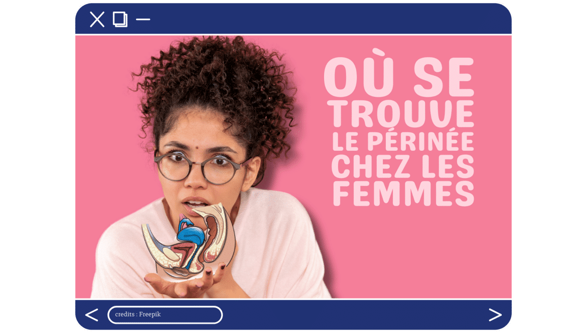 lg-b-où se trouve le périnée chez les femmes – sugar