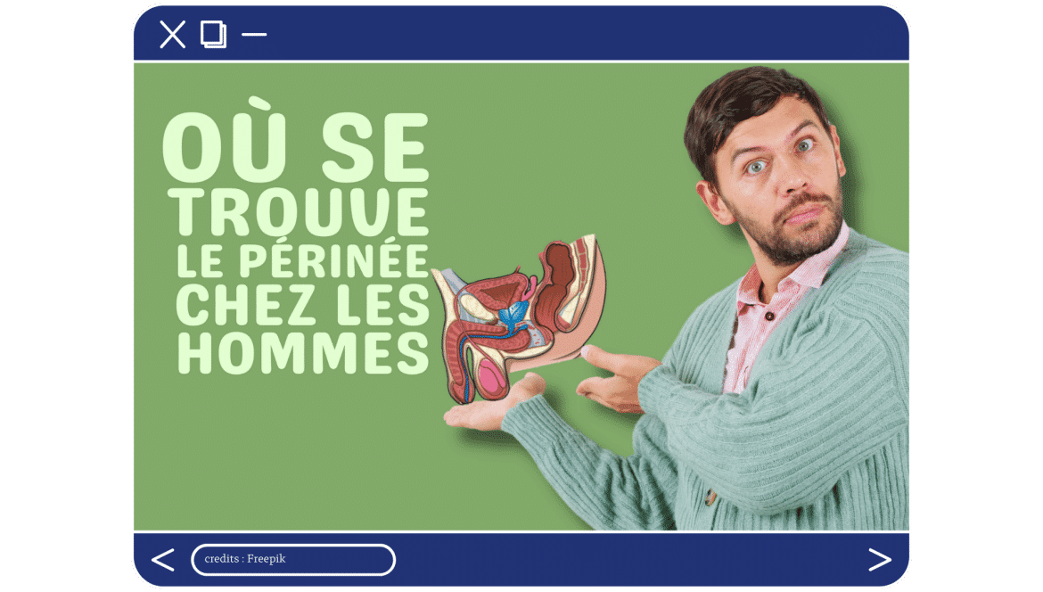 lg-b-où se trouve le périnée chez les hommes – sugar