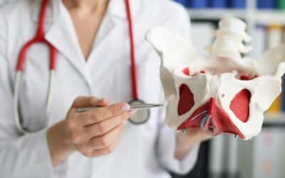 Le périnée : définition, rôle et importance pour la santé